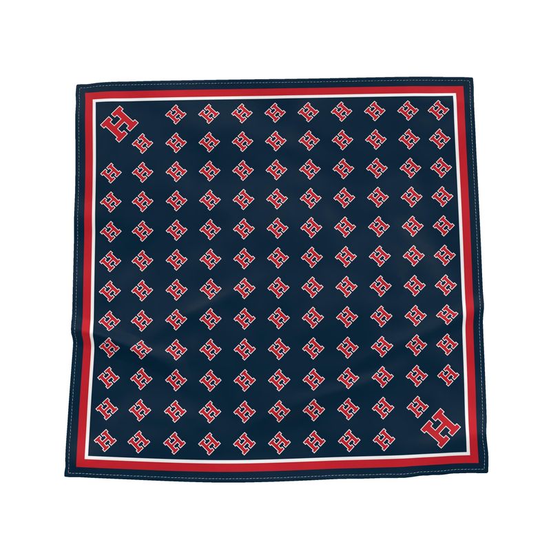 H Monogram Silk Scarf